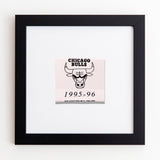 Match South - Chicago Bulls