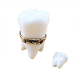 Large White Baby Tooth w/Removable Tooth